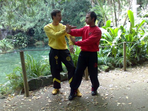 www.kungfuitalia.it kung fu academy scuola di arti marziali caserta italia di sifu salvatore mezzone imaa international martial arts alliance wing tjun tsun chun tai chi taijiquan qigong chi pilates mma muay thai bjj